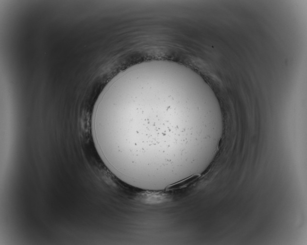 X0000086250528200704191845