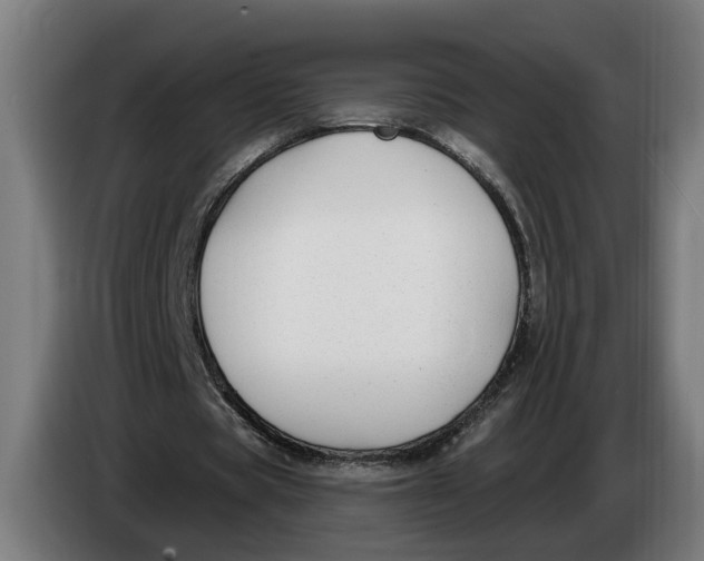 X0000086250529200704191844