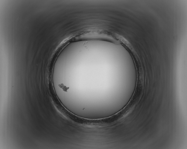 X0000086250530200704191844