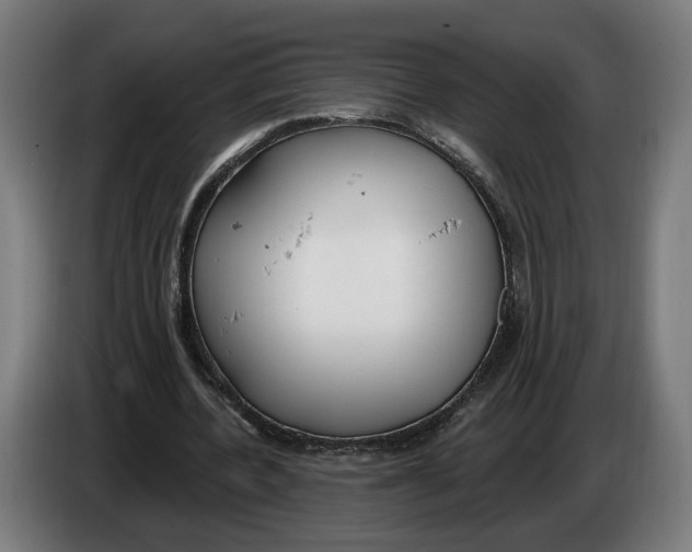 X0000086250532200704191844
