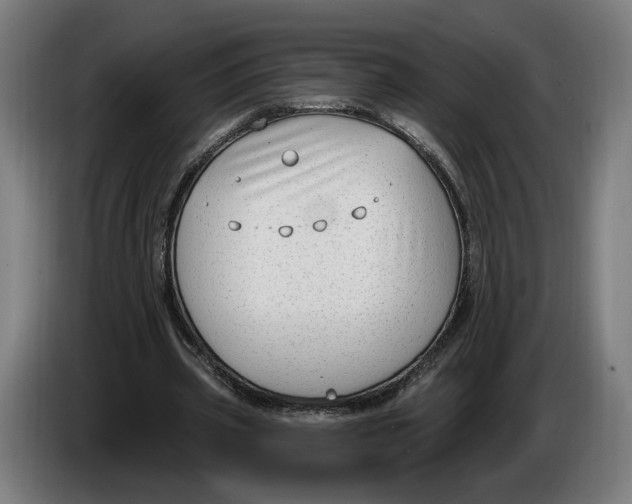 X0000086250533200704191844