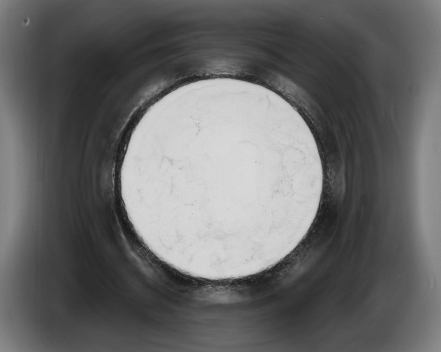 X0000086250534200704191844