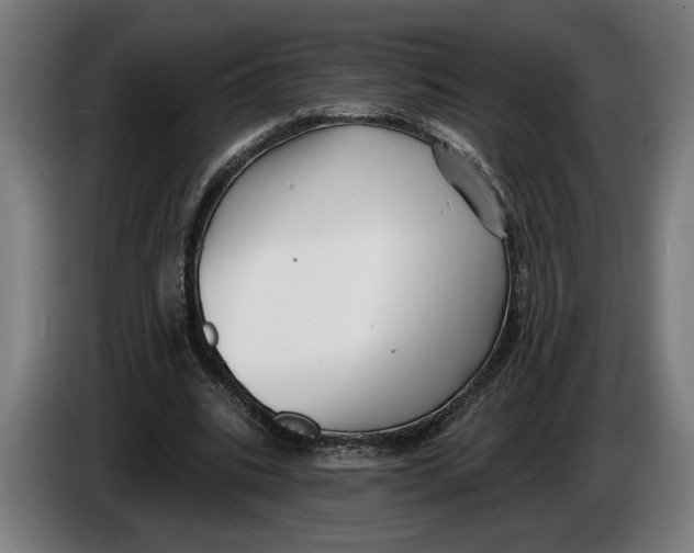 X0000086250535200704191844