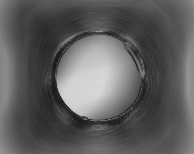 X0000086250536200704191844