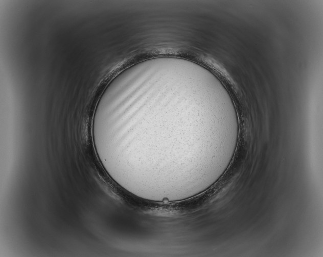 X0000086250537200704191844