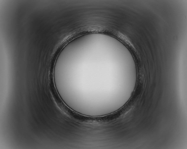 X0000086250538200704191844