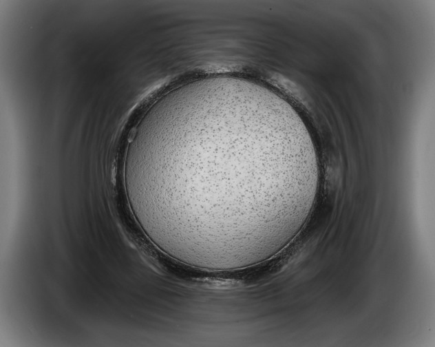 X0000086250539200704191844