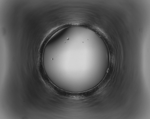 X0000086250540200704191844