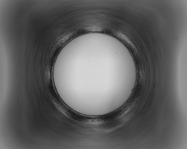 X0000086250541200704191844