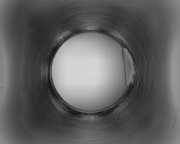 X0000086250542200704191844