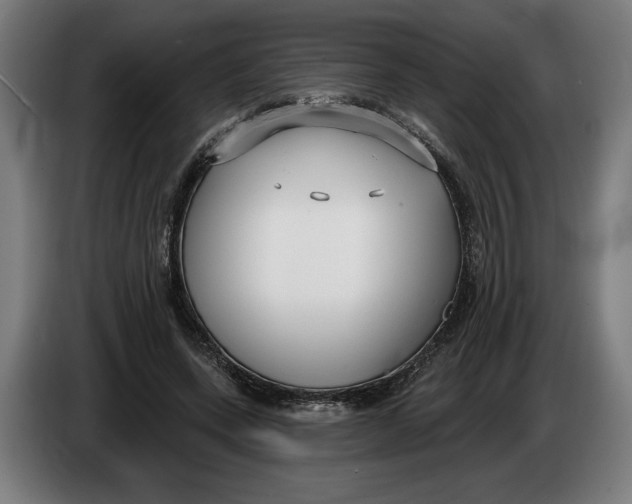 X0000086250543200704191844