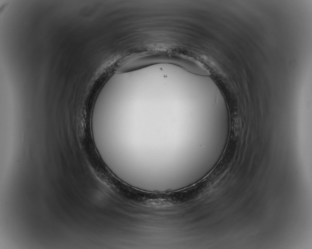 X0000086250544200704191845