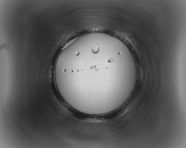X0000086250545200704191845