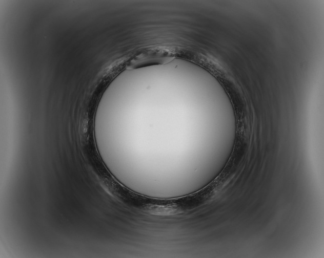 X0000086250548200704191845