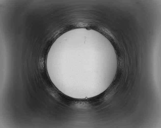 X0000086250549200704191845