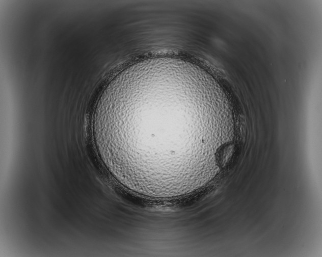 X0000086250550200704191845