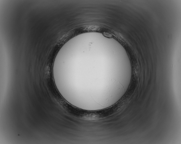 X0000086250551200704191845