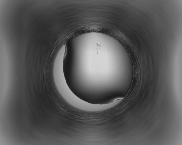 X0000086250552200704191845