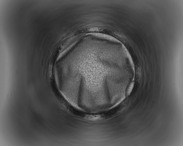 X0000086250554200704191845