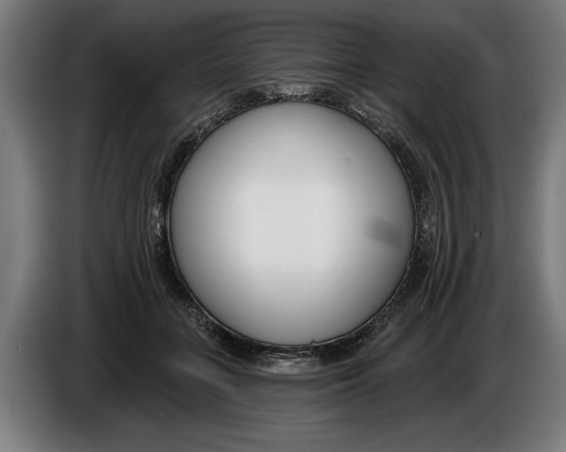 X0000086250555200704191845