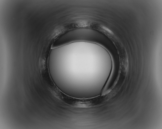 X0000086250556200704191845