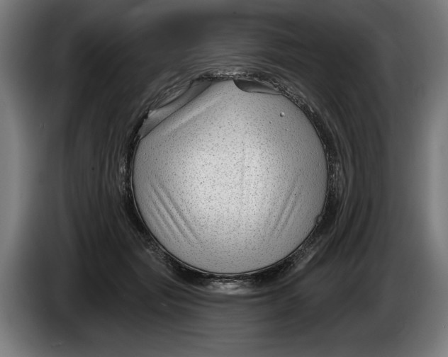X0000086250557200704191845