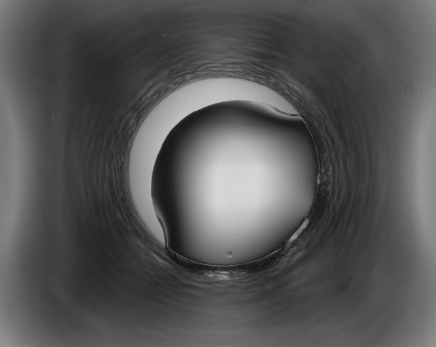 X0000086250558200704191845