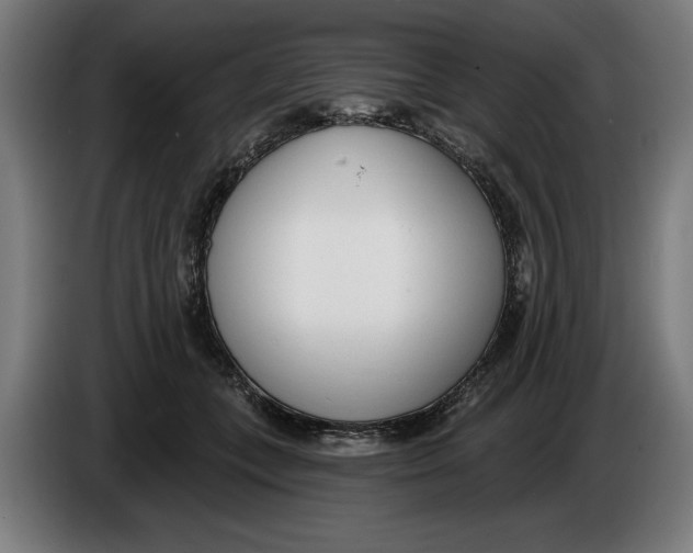 X0000086250559200704191845