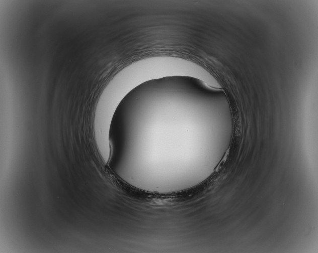 X0000086250560200704191845
