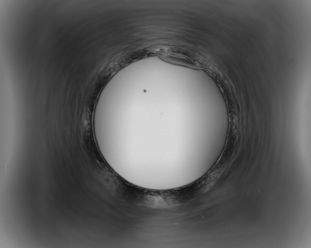X0000086250561200704191845