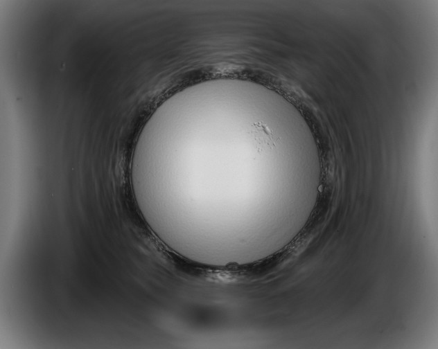 X0000086250565200704191845