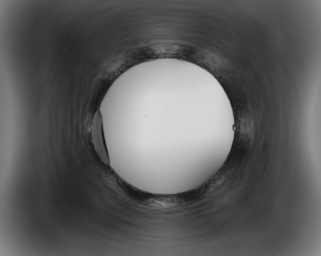 X0000086250567200704191845