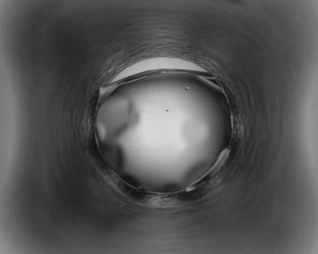 X0000086250568200704191845