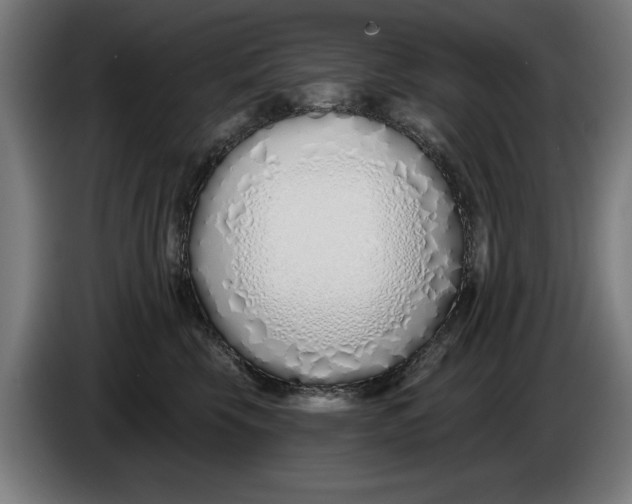 X0000086250569200704191845