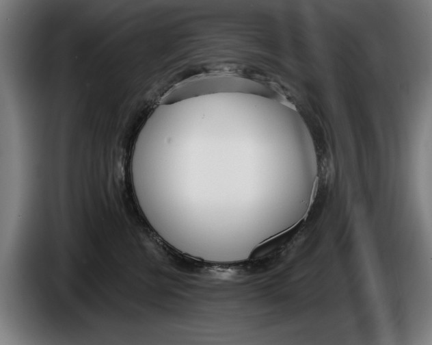 X0000086250570200704191845