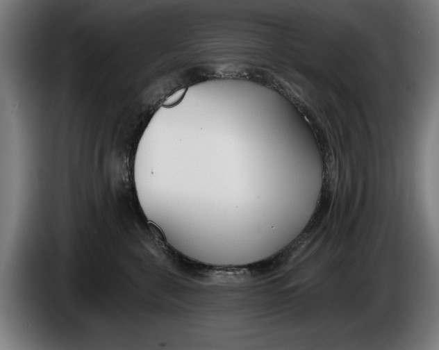 X0000086250571200704191845