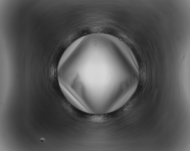 X0000086250574200704191845