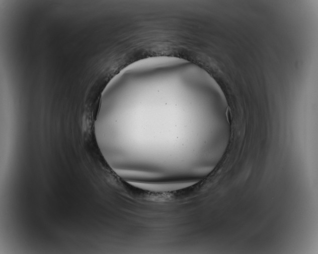 X0000086250576200704191845