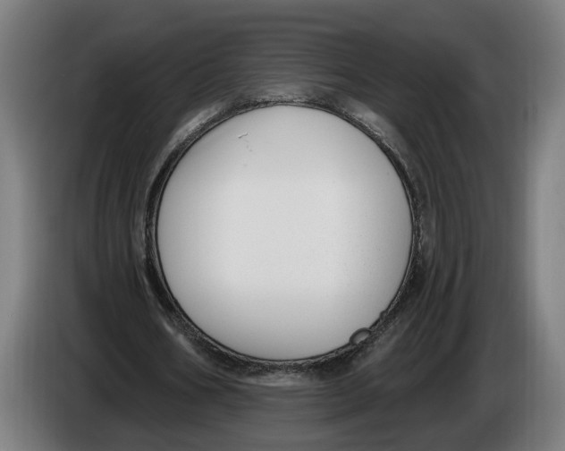 X0000086250578200704191844
