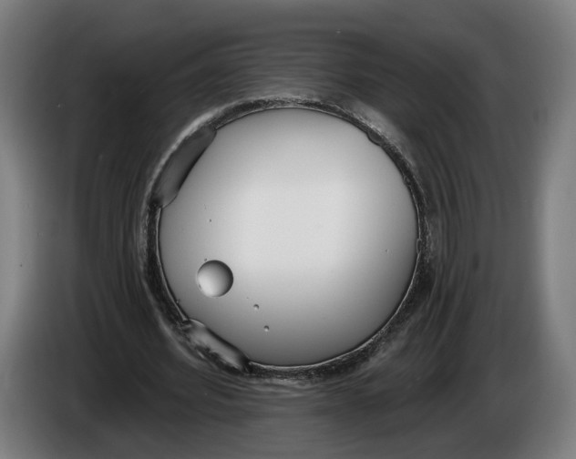 X0000086250580200704191844