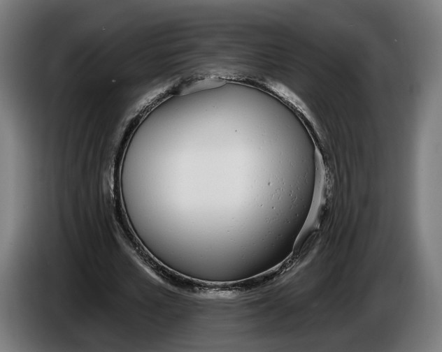 X0000086250581200704191844