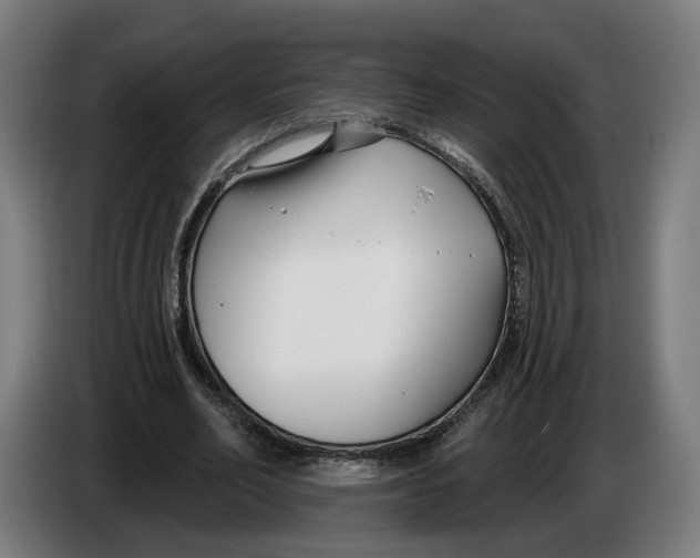 X0000086250582200704191844