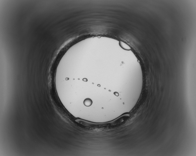 X0000086250584200704191844