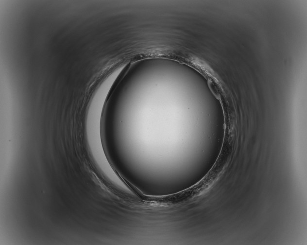 X0000086250585200704191844