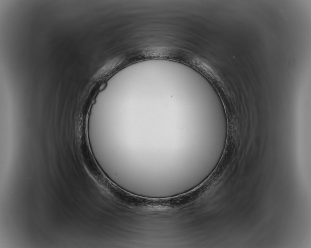 X0000086250586200704191844