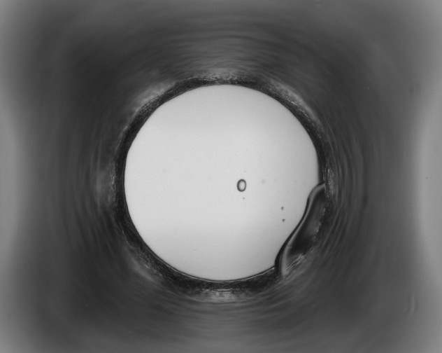 X0000086250588200704191844