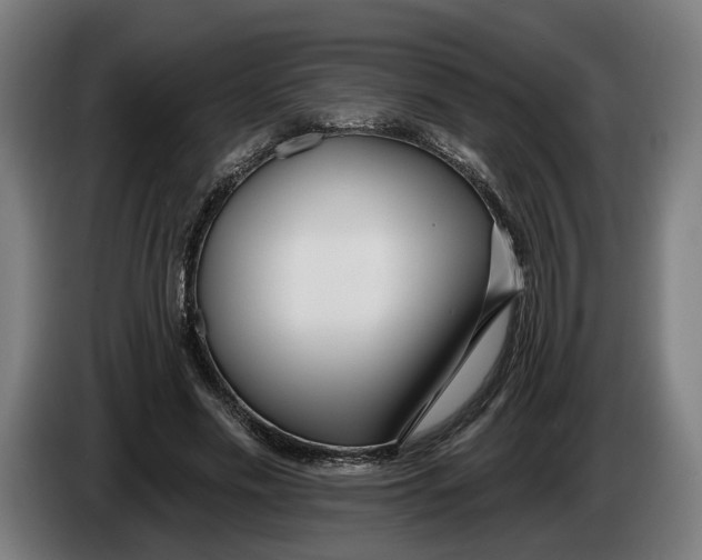 X0000086250589200704191844