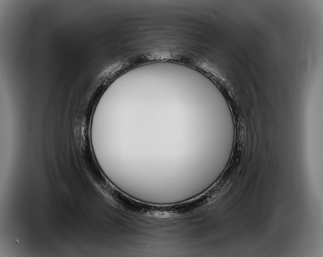 X0000086250590200704191844