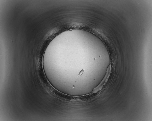 X0000086250591200704191844