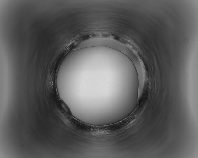 X0000086250593200704191844